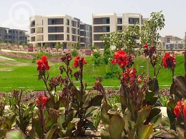 2 52602391_2128880117202508_6566851669546500096_n. jpg