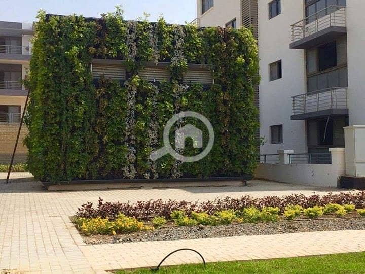 3 54798837_10214241930147044_1544368633600278528_n. jpg