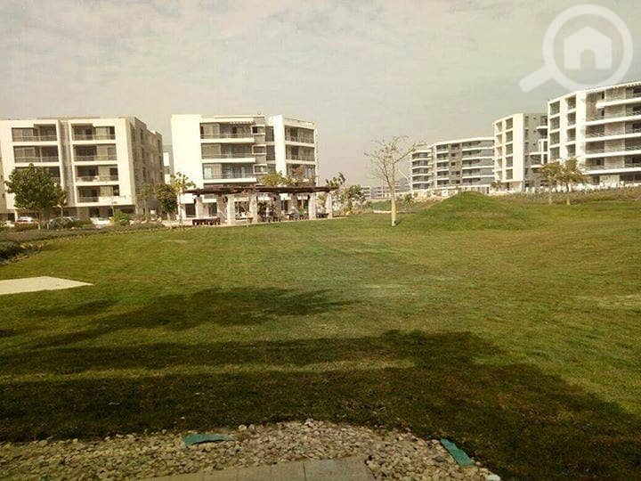 4 54129482_10214241929947039_7859824532893204480_n. jpg