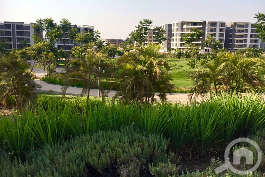 7 602e7f89-485b-4f06-addc-fe53875161f2. jpg