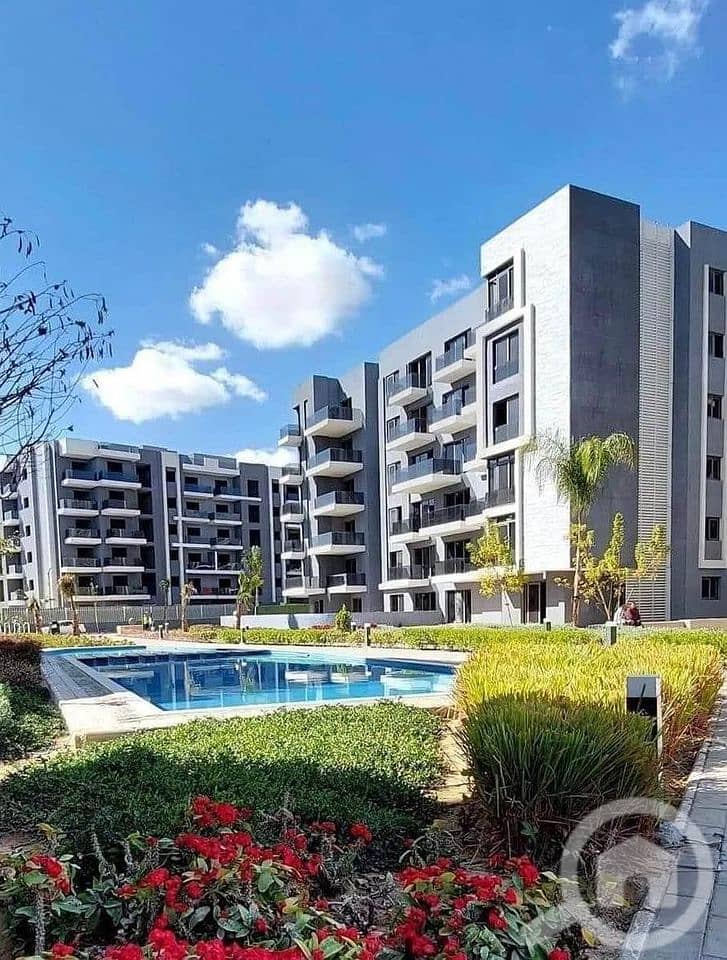 4 384776117_188306224286522_4471524665325083862_n. jpg