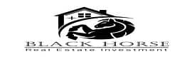 Black horse Black horse