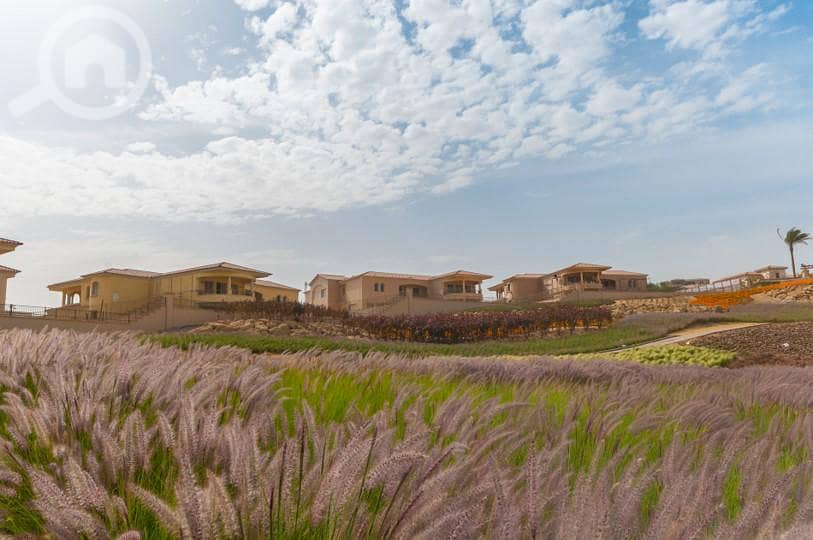 فيلا فوري للبيع في بالم هيلز جولف اكستنشن جاهزه للمعاينه palm Hills فيلا فوري للبيع في بالم هيلز جولف اكستنشن جاهزه للمعاينه palm Hills