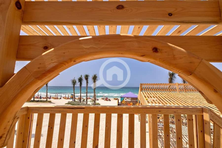 363321977_6480353615378017_2261382942399583041_n. jpg 363321977_6480353615378017_2261382942399583041_n. jpg