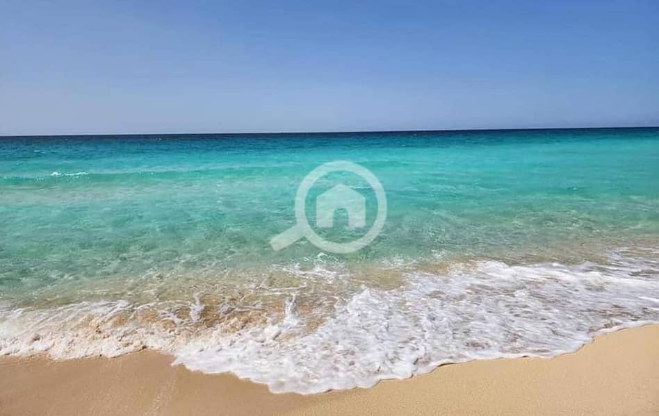 3 363902740_158921147230254_3811557244180780403_n. jpg