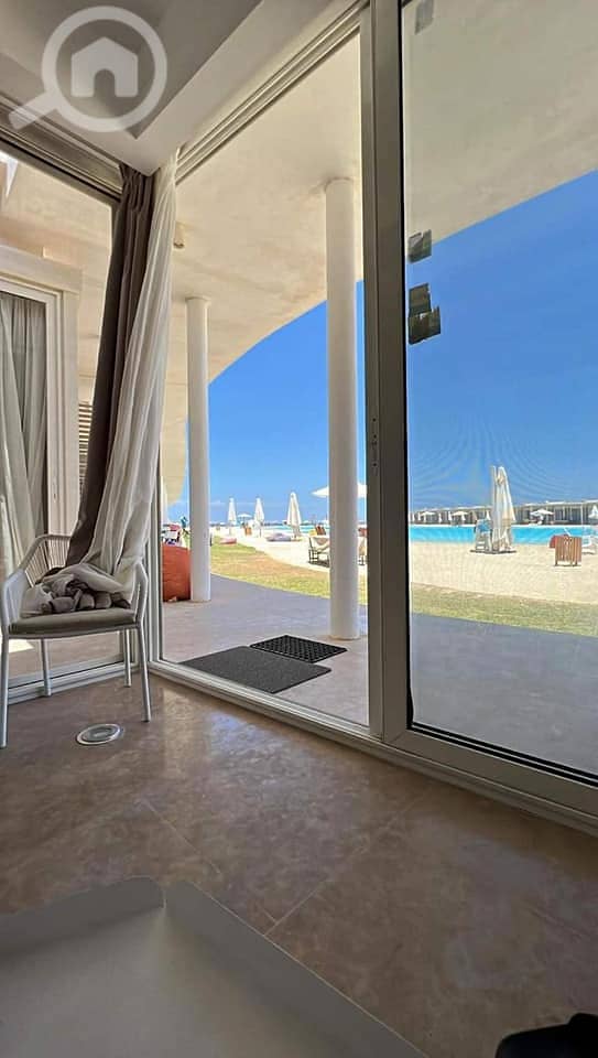 8 366939657_158920387230330_7212841320527513773_n. jpg