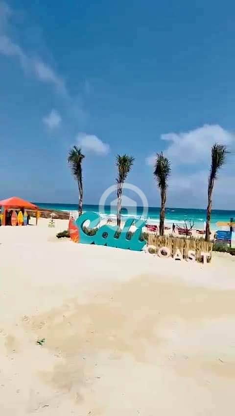 10 423176769_25191772977080792_3653768762662380090_n. jpg