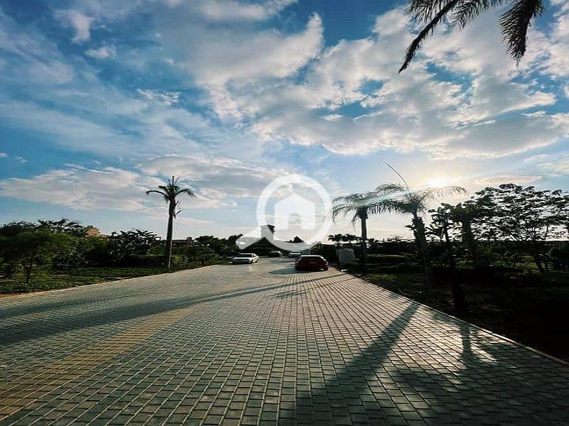 5 WhatsApp Image 2022-08-09 at 1.48. 07 PM. jpeg