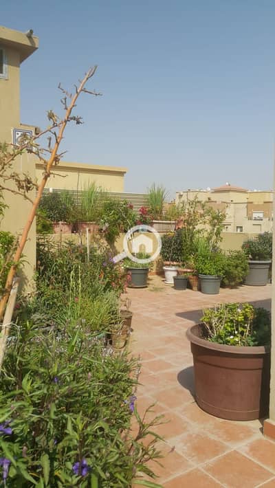 Studio for Rent in 6th of October, Giza - Studio for rent at casa october ستوديو في اكتوبر