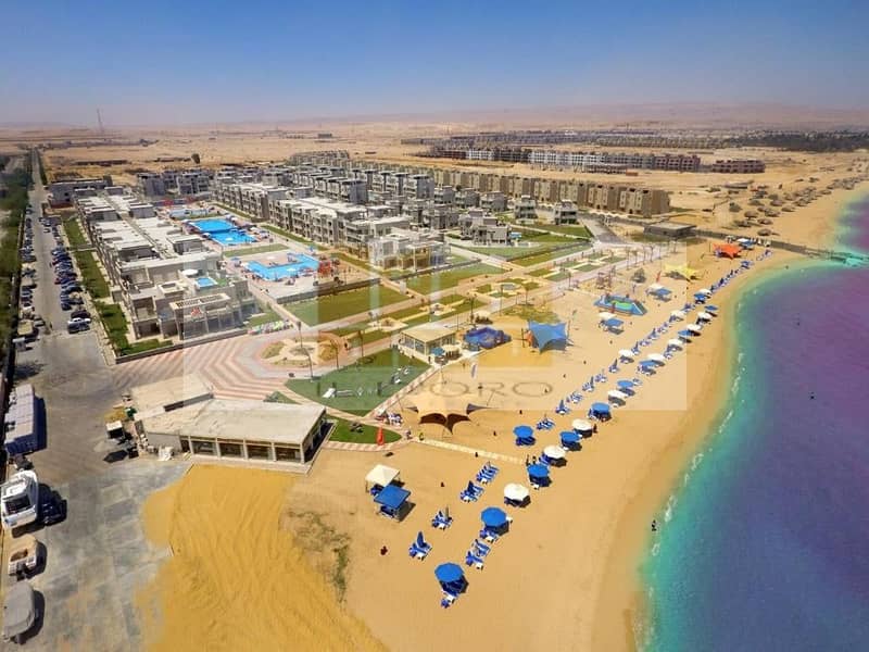 258143640_183928203939806_7412633936692423079_n. jpg