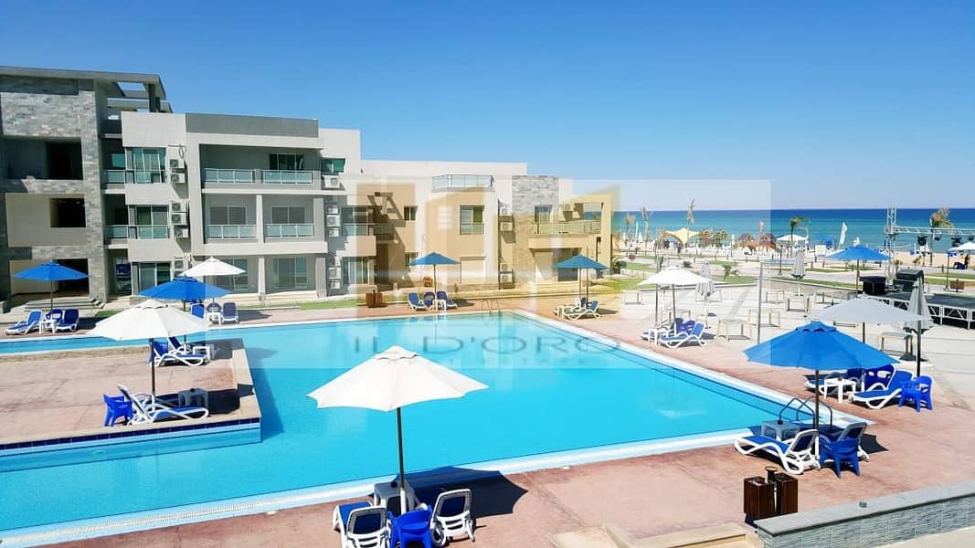 8 269850649_5382965971732972_2865726720992812539_n. jpg