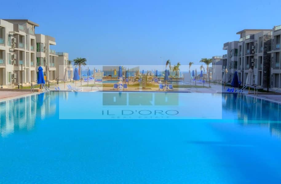 12 270234188_10216250988906737_6473453200829392530_n. jpg