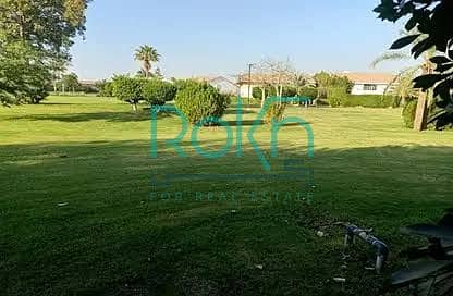 7 WhatsApp Image 2024-08-27 at 3.14. 21 PM (4). jpeg