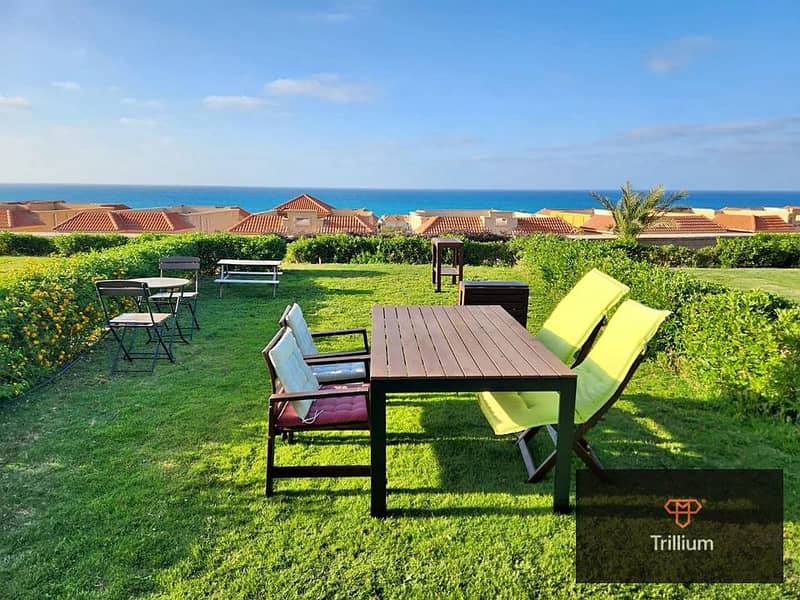 11 WhatsApp Image 2024-04-14 at 15.28. 10_989fb438. jpg