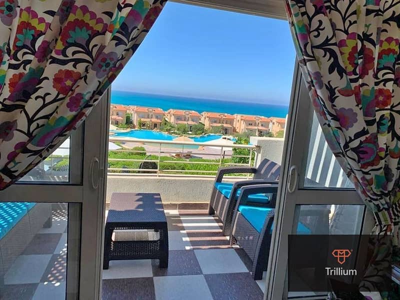 12 WhatsApp Image 2024-02-14 at 14.16. 03_98deb838. jpg