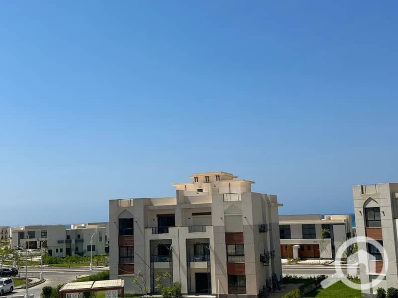 5 2fe50d22-19bf-4b17-9759-7e7c3b5f2cea. jpg