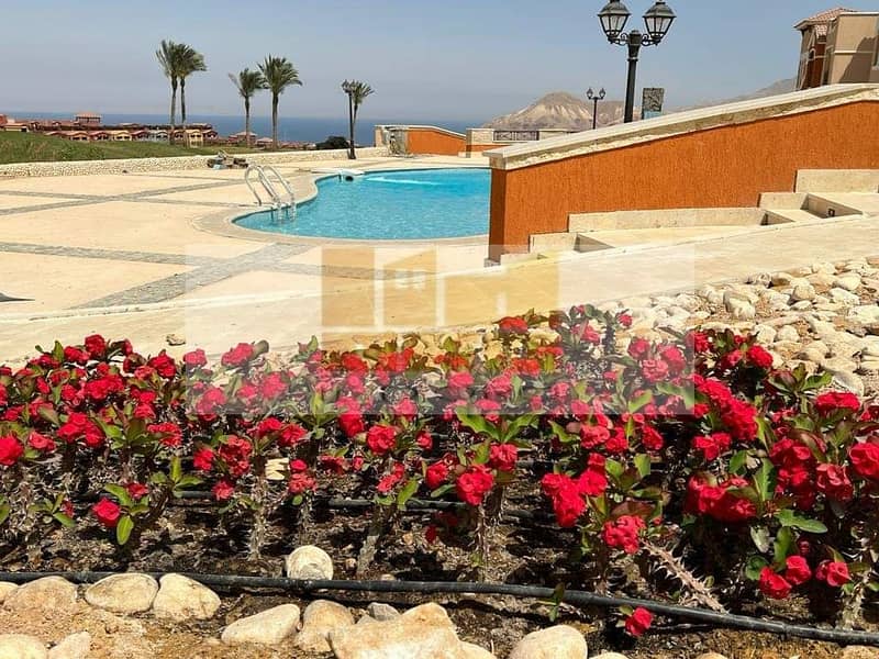 4 WhatsApp Image 2024-09-16 at 12.17. 24. jpeg