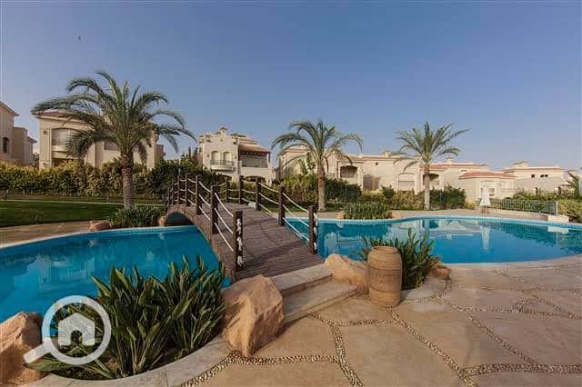 5 17DD3596-10B7-4143-8359-275F6D665BDB. jpeg