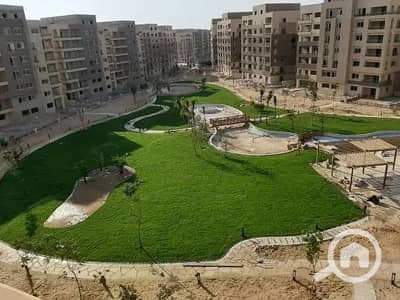 4 Bedroom Apartment for Sale in New Cairo, Cairo - WhatsApp Image 2024-09-19 at 13.45. 43_4afc0051. jpg