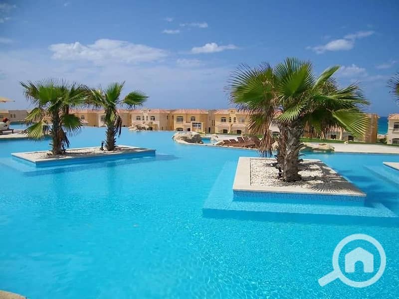 7 366269609_244701801859568_5091370676368217100_n. jpg