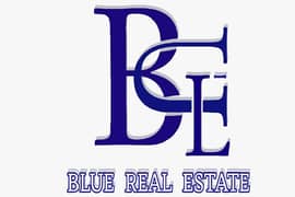 Blue Real Estate