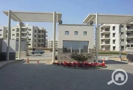 3 Bedroom Flat for Rent in Sheikh Zayed, Giza - 7 - Copy. jpg