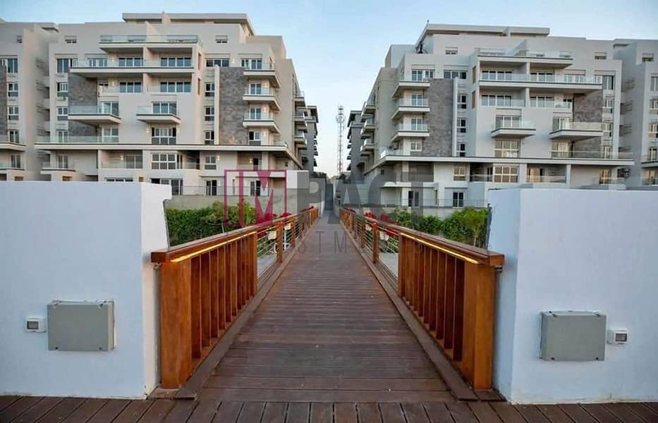 11 461477831_1248384309679875_5021159149691836161_n. jpg