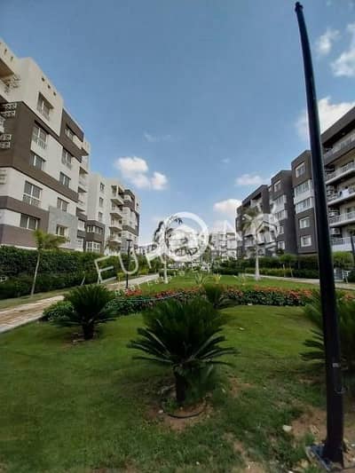 2 Bedroom Flat for Sale in Madinaty, Cairo - 81c47ff5-80d9-4a2a-8ce2-8200a3477923. jfif. jpg