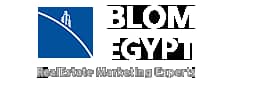 Blom investments