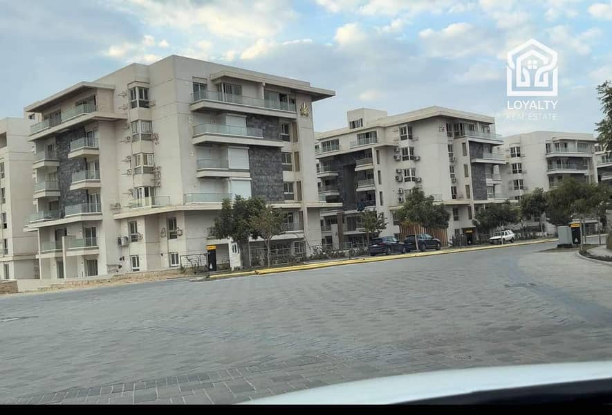 8 914565f0-db36-4056-aa3c-7ec7f7f13ef4. jpg