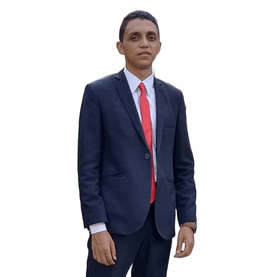 محمود هيكل