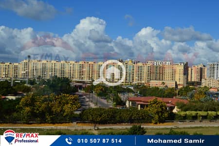 3 Bedroom Flat for Sale in Smoha, Alexandria - 1. jpg