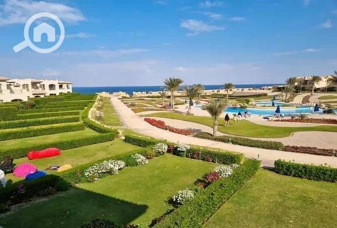 9 d4d7d86a-0b04-4101-b1ee-9158dab75803. jpeg