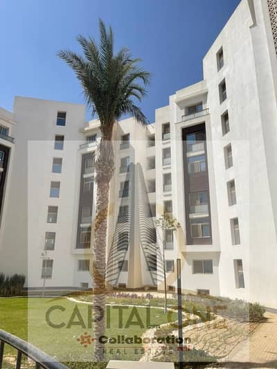 4 Bedroom Apartment for Sale in New Cairo, Cairo - WhatsApp Image 2024-11-13 at 17.33. 01_6160db4e. jpg