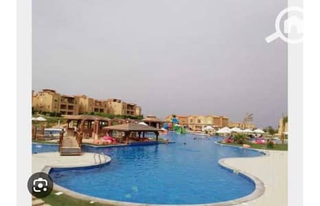 2 Bedroom Chalet for Sale in Ain Sukhna, Suez - WhatsApp Image 2024-12-10 at 12.03. 35 PM (6). jpg