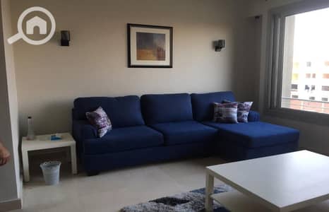 1 Bedroom Flat for Rent in New Cairo, Cairo - 5e6869ca-0a32-4285-a9bb-5bf00edd0619. jpg