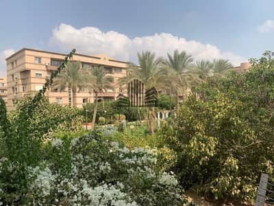 3 Bedroom Apartment for Sale in New Cairo, Cairo - IMG-20241203-WA0695. jpg