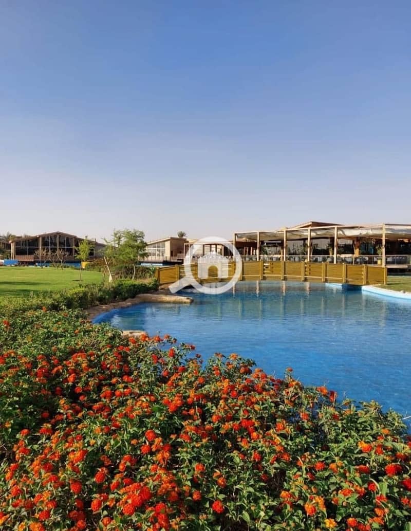 3 02127E14-4983-412A-8CD3-F4D558055161. jpeg