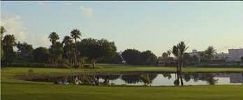 4 WhatsApp Image 2024-08-11 at 3.00. 18 PM. jpeg