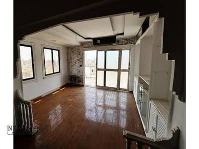 دوبلكس 4 غرف نوم للبيع في الدقى، الجيزة - WhatsApp Image 2024-12-10 at 10.47. 48 AM (1). jpg