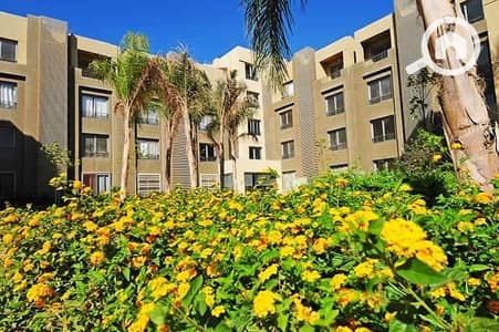 2 Bedroom Apartment for Sale in 6th of October, Giza - 462705703_894556105890157_2342119261999139707_n. jpg