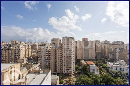 3 Bedroom Apartment for Sale in Bolkly, Alexandria - 1. JPG