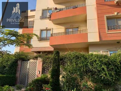 3 Bedroom Apartment for Sale in New Cairo, Cairo - 1000265911. jpg