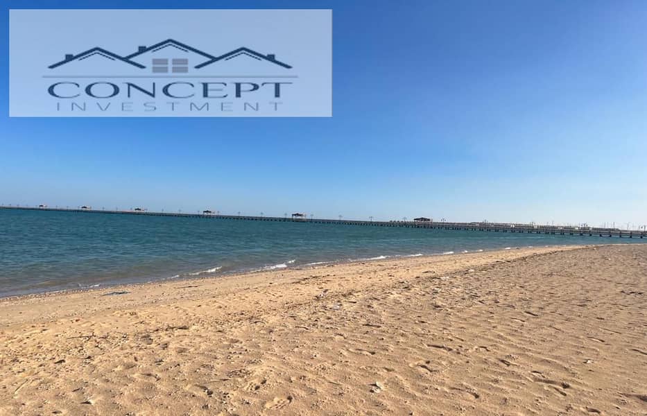 4 42ab6b9a-747e-441f-b067-808e0d90591c. jpeg