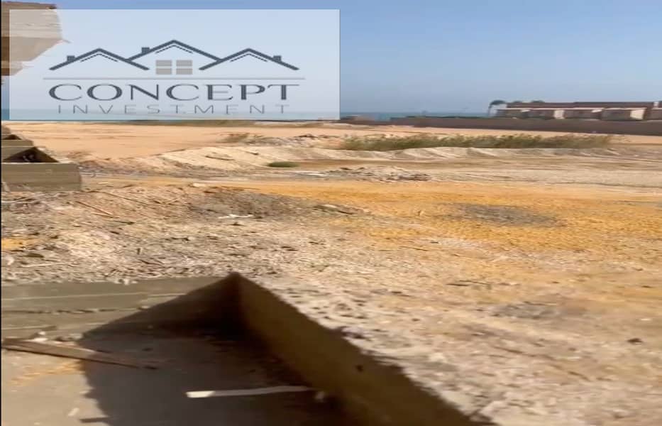 12 Screen Shot 2024-08-20 at 3.38. 57 PM. png