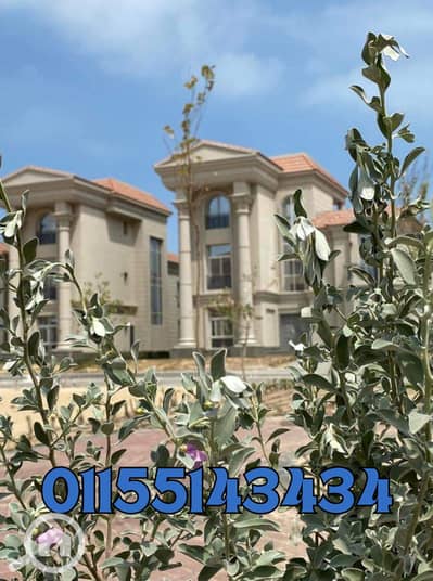 5 Bedroom Villa for Sale in New Mansoura, Dakahlia - 11111 (5). jpg