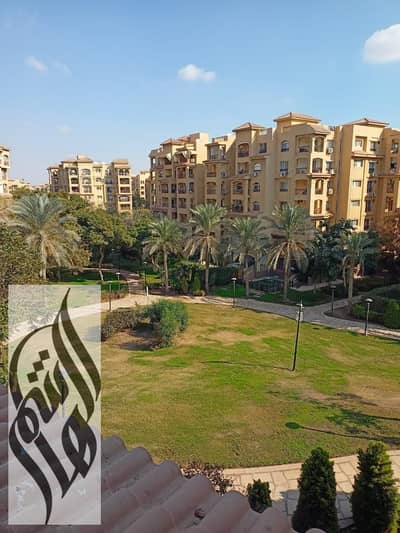 5 Bedroom Apartment for Rent in Madinaty, Cairo - WhatsApp Image 2025-01-18 at 5.29. 33 PM. jpeg