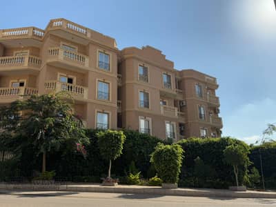 3 Bedroom Flat for Sale in Shorouk City, Cairo - WhatsApp Image 2025-01-16 at 9.15. 09 PM (1). jpeg