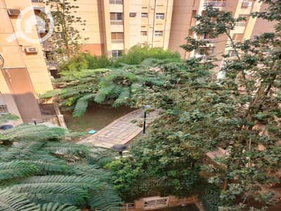 2 Bedroom Flat for Sale in Madinaty, Cairo - WhatsApp Image 2025-01-22 at 12.24. 59_33afc31f. jpg