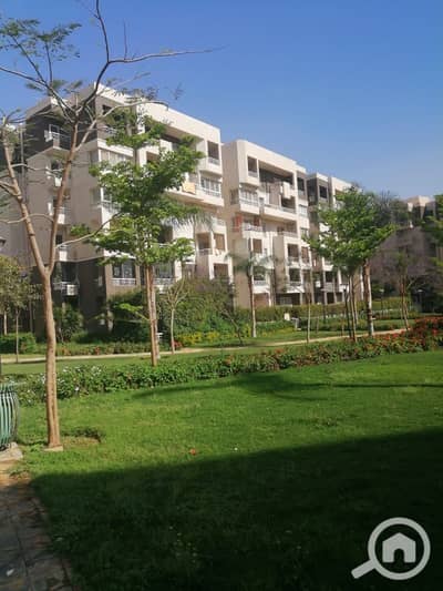 3 Bedroom Flat for Sale in Madinaty, Cairo - WhatsApp Image 2024-09-16 at 5.05. 10 PM. jpeg